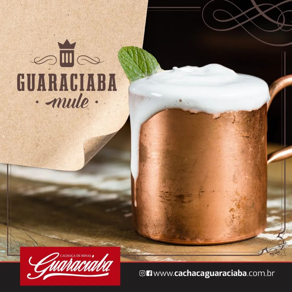 Guaraciaba Mule
